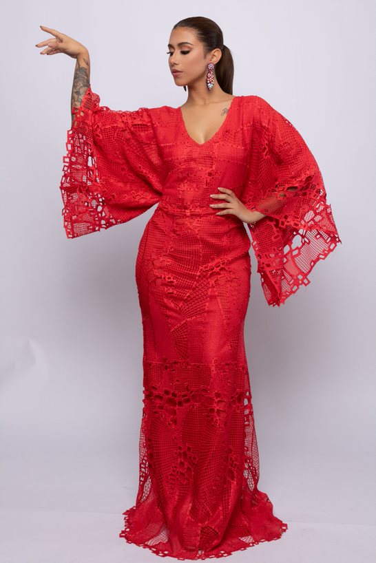 Aneesa Lace Dress